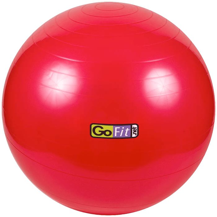 GoFit 55cm Stability Ball