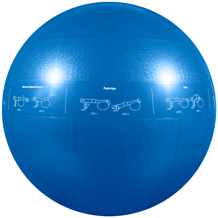 GoFit 55cm Pro Stability Ball